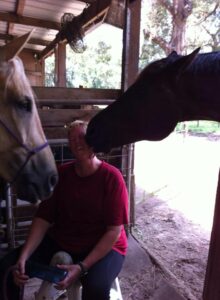 Barbados and Stately